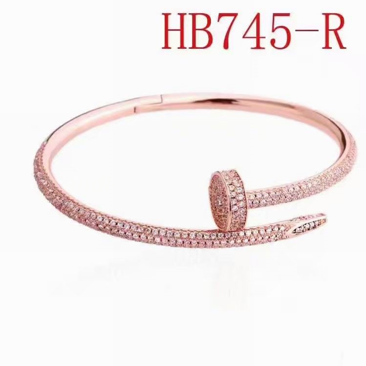 Cartier Bangles 21